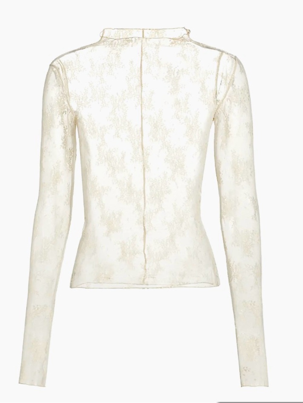 Free People Cream Sheer Lace Long-Sleeve Top